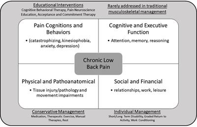 Non-invasive brain stimulation and pain neuroscience education in the cognitive-affective treatment of chronic low back pain: Evidence and future directions